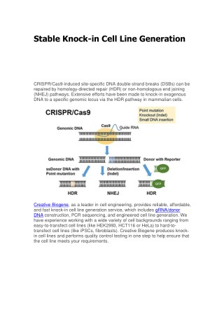 knock-in cell line