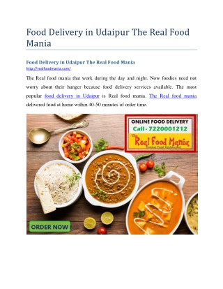 Food Delivery in Udaipur The Real Food Mania