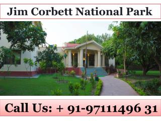 Nadiya Parao resort Ramnagar, Dhikuli