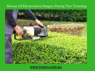 Beware Of Electrocution Dangers During Tree Trimming