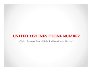 United Airlines Phone Number