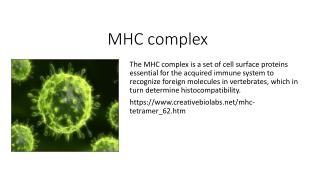 MHC Complex