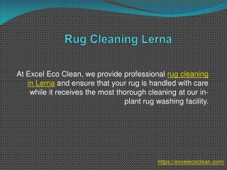 Rug Cleaning Lerna