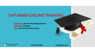 SAP Ariba Training PDF