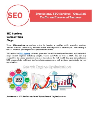 Professional SEO Services - Qualified Traffic and Increased Business