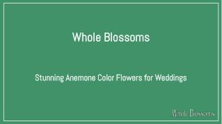 Elegant and Magnificient Anemone Color Flowers for Weddings