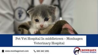 Pet Vet Hospital In middletown – Monhagen Veterinary Hospital