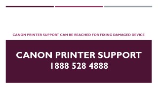 Canon Printer Support Can Be Reached For Fixing Damaged Device- Free PDF