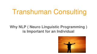 TRANSHUMAN cONSULTING