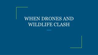 WHEN DRONES AND WILDLIFE CLASH