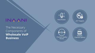 Most Essential Components of Wholesale VoIP Business