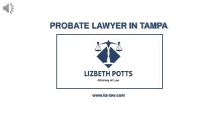 Tampa's Top Probate Attorney Service Provider - Lizbeth Potts