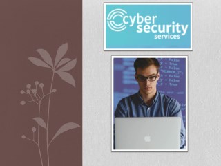 Cyber Security Services