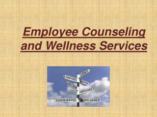 Employee Counseling and Wellness Services