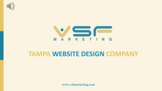 Renowned Web Design Service Provider In Tampa - VSF MARKETING