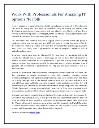 Work With Professionals For Amazing IT options Norfolk