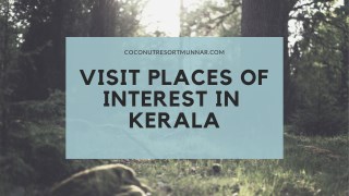Visit Places Of Interest In Kerala