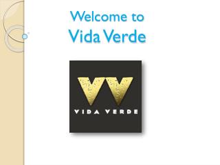 Mexican Inspired Outdoor & Rooftop Bar Midtown NYC | Vida Verde