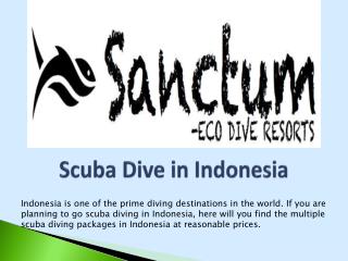 Scuba Dive in Indonesia