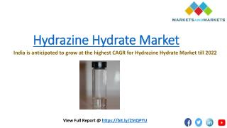 India is anticipated to grow at the highest CAGR for Hydrazine Hydrate Market by 2022
