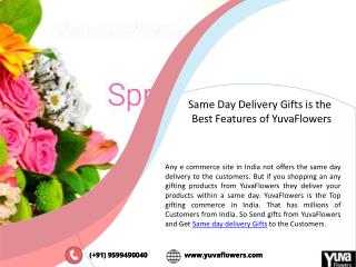Same day delivery gifts is the best features of yuva flowers