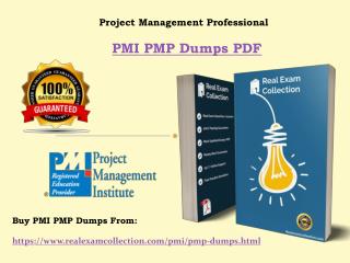PMI Project Management Professional PMP Exam Dumps, Valid PMP Practice Exam