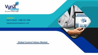 Global Control Valves Market–Analysis and Forecast (2014–2024)