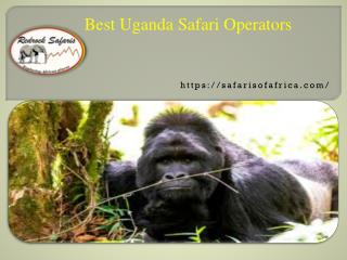 Best Uganda Safari Operators