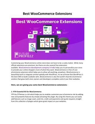 Best WooCommerce Extensions