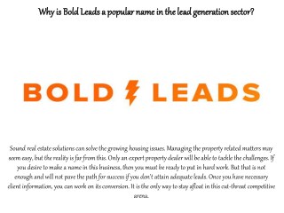 Why is bold leads a popular name in the lead generation sector?