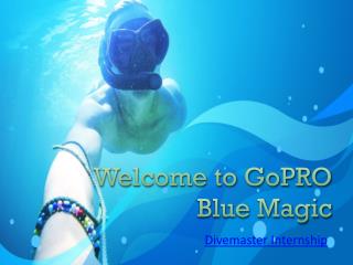 Blue Magic’s Divemaster Internship