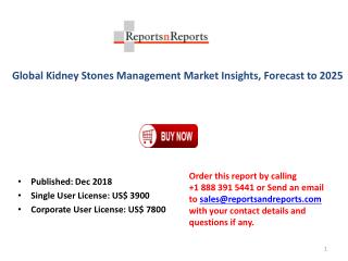 Kidney Stones Management Market - Global Industry Analysis, Size, Share, Growth, Trends, and Forecast 2019– 2025