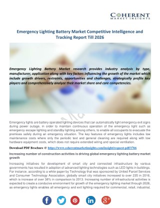Emergency Lighting Battery Market
