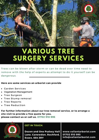 Various Tree Surgery Service | Valiant Arborist