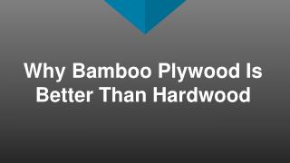 Why Bamboo Plywood Is Better Than Hardwood