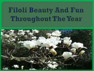 Filoli Beauty And Fun Throughout The Year