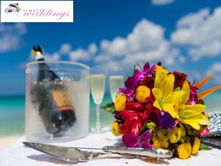 Pre-book a Licensed Wedding Celebrant for Your Cayman Islands Wedding