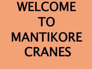 Crane airspace