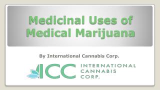 Medicinal Uses of Medical Marijuana