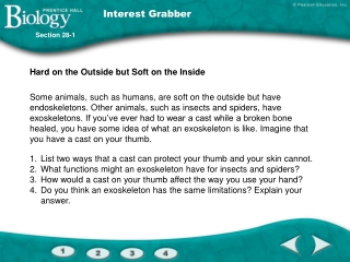 Interest Grabber