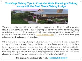 Vital Carp Fishing Tips to Consider While Planning a Fishing Vacay with the Best Texas Fishing Lodge