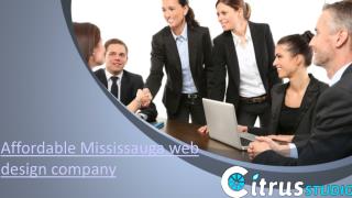 Affordable Mississauga web design company