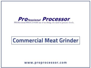 Latest models of Commercial Meat Grinder - Texas