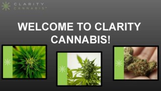 History of Cannabis | Clarity Cannabis