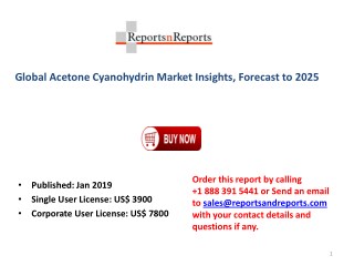 Global Acetone Cyanohydrin Market Analysis by Professional Reviews and Opinions 2025
