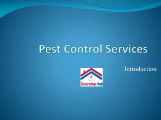 Best Pest Control Services-Termites,Cockroaches,Bed Bugs and More Services