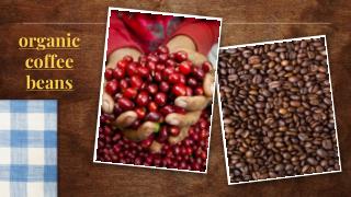 Direct trade coffee Shop Online in USA