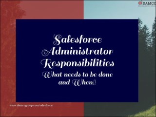 Salesforce Administrator Responsibilities | What needs to be done and When