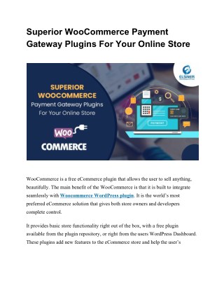 Superior WooCommerce Payment Gateway Plugins For Your Online Store
