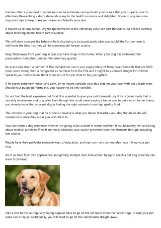 Dog Treatment Guidelines For First Time Dog Owners